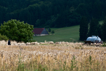 Similar image 1326738