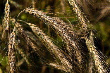 Similar image 1326796