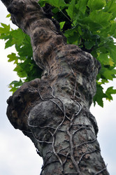 Similar image 1326798