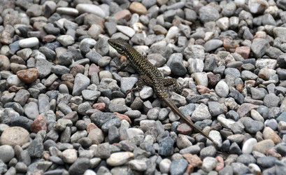 Similar image 1326805