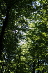 Similar image 1326819