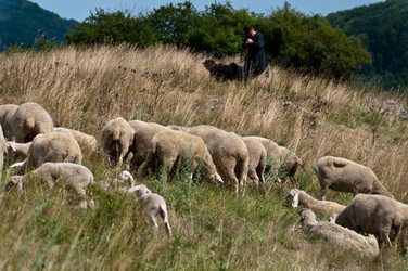 Similar image 1326835