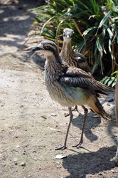 Similar image 1326863