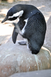 Similar image 1326866