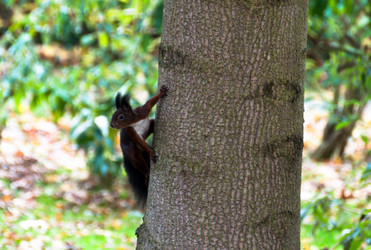 Similar image 1326895