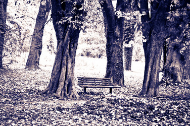 Similar image 1326915