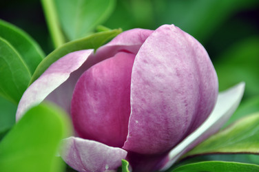 Similar image 1326922