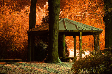 Similar image 1326932