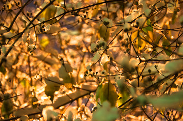 Similar image 1326934