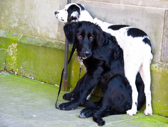 Similar image 1326935