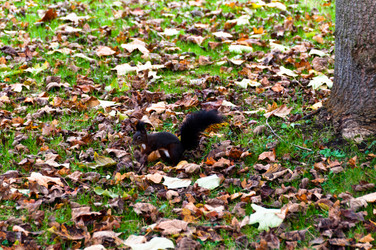 Similar image 1326947