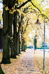 Similar image 1326952