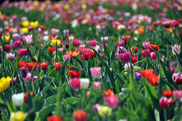 Similar image 1328078