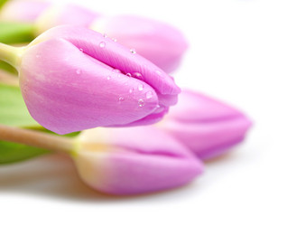 Similar image 1328165