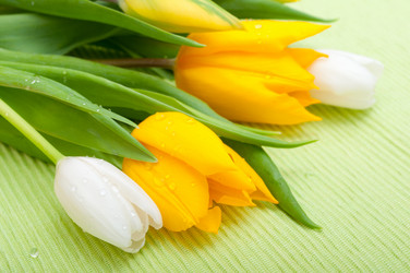 Similar image 1328228