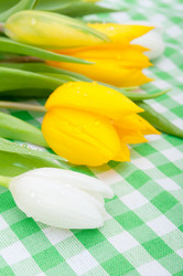 Similar image 1328306