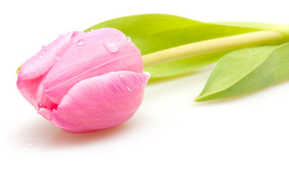 Similar image 1328311