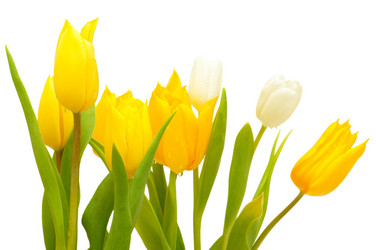 Similar image 1328328