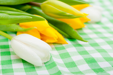 Similar image 1328345