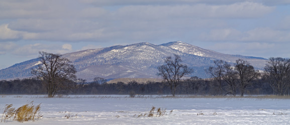 Similar image 1328788