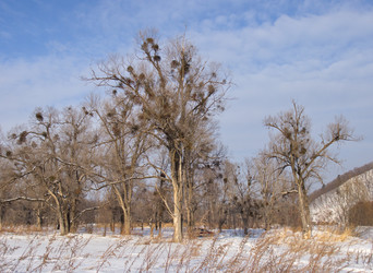 Similar image 1328790