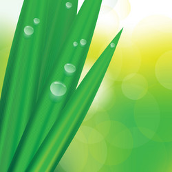 Similar image 1328855