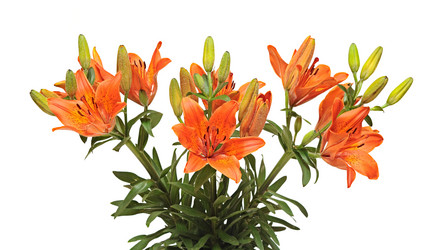 Similar image 1329291