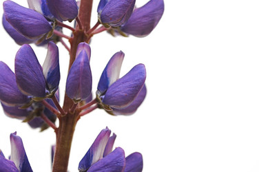 Similar image 1329295