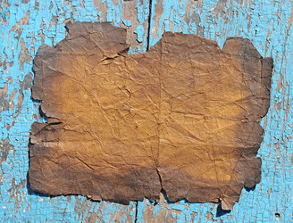 Similar image 1329510