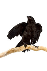 Similar image 1329524