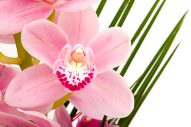 Similar image 1329785