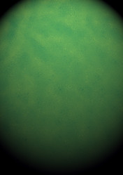 Similar image 1329849