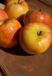 Similar image 1329951