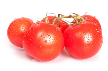 Similar image 1329963