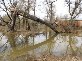 Similar image 1330466