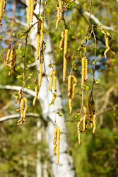 Similar image 1330592