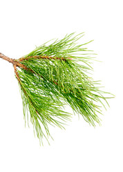 Similar image 1330668