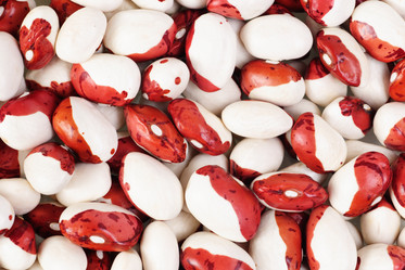 Similar image 1330675