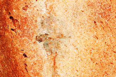 Similar image 1330680