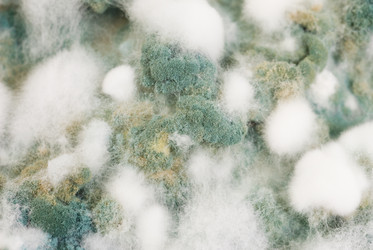 Similar image 1330691