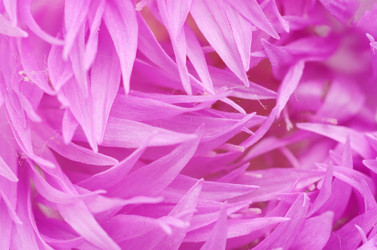 Similar image 1330712