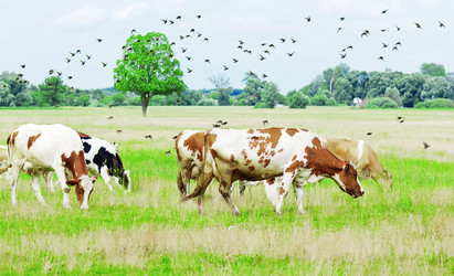 Similar image 1330917