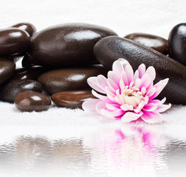 Similar image 1330919