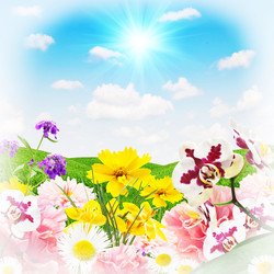 Similar image 1330921