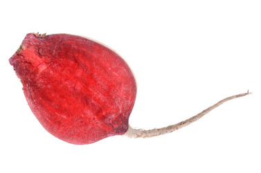 Similar image 1331030