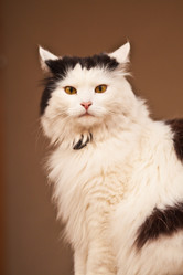 Similar image 1331066