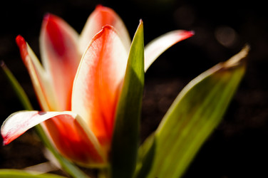 Similar image 1331090