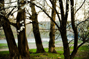 Similar image 1331091