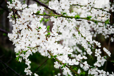 Similar image 1331093