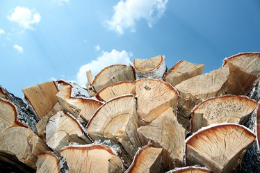 Similar image 1331101